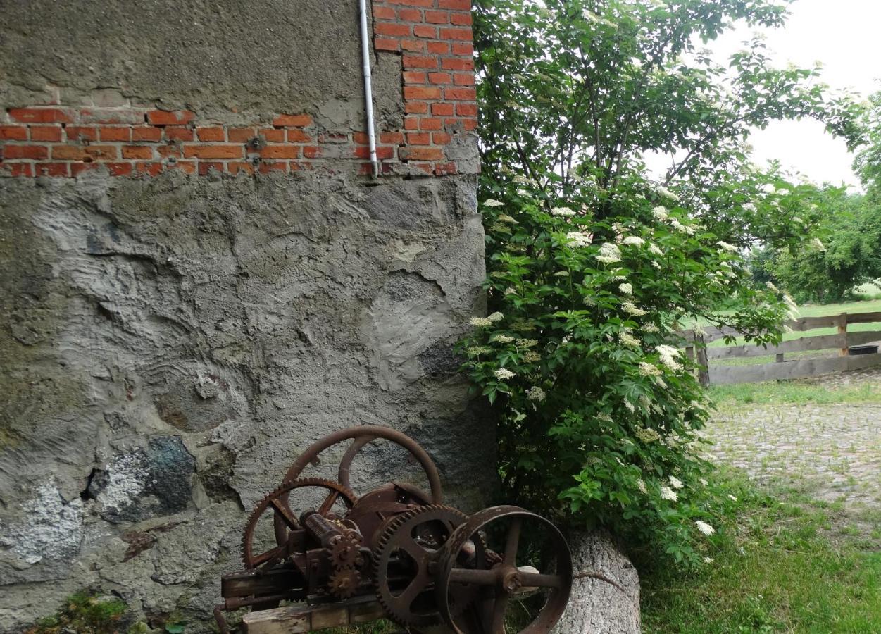 Dom Na Mazurach Pilec Bed & Breakfast Bagian luar foto