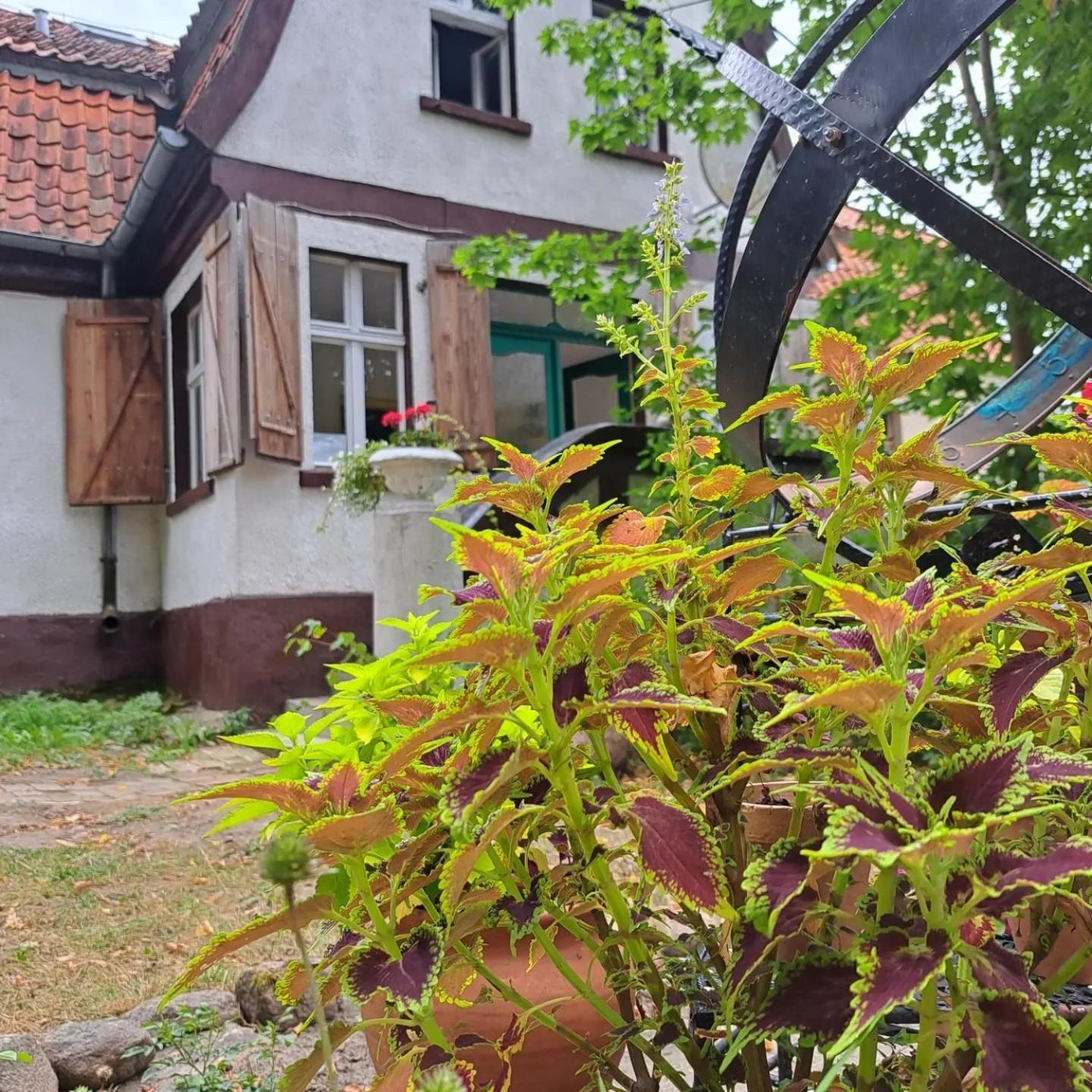 Dom Na Mazurach Pilec Bed & Breakfast Bagian luar foto