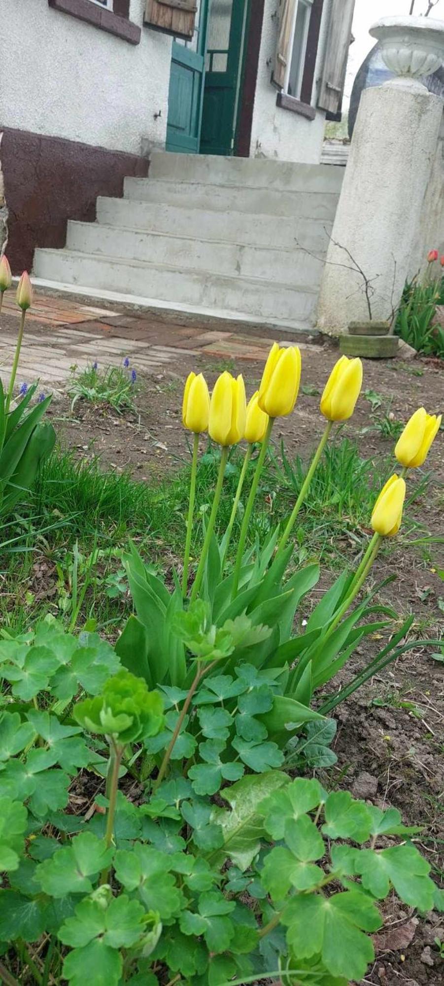 Dom Na Mazurach Pilec Bed & Breakfast Bagian luar foto