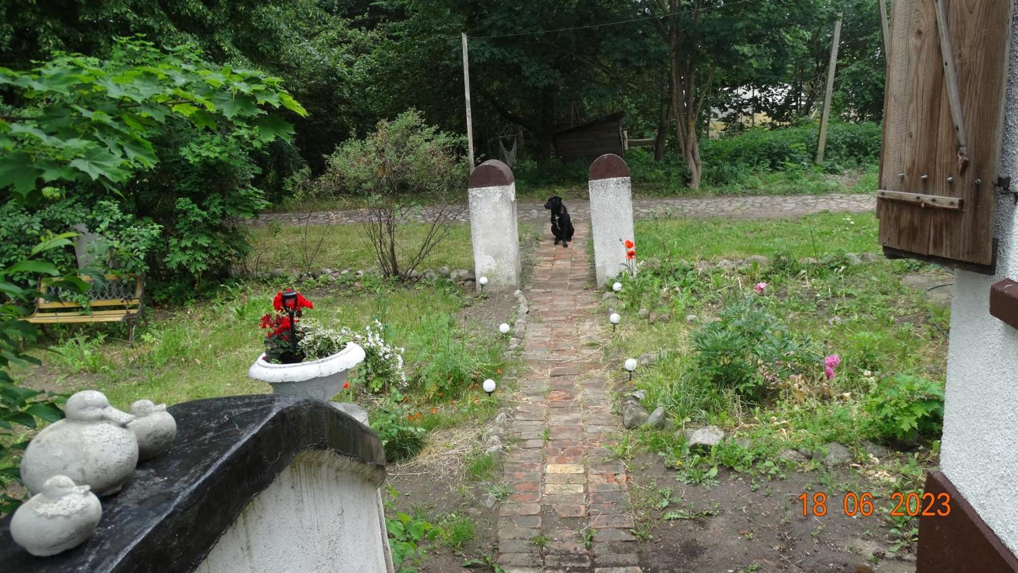 Dom Na Mazurach Pilec Bed & Breakfast Bagian luar foto