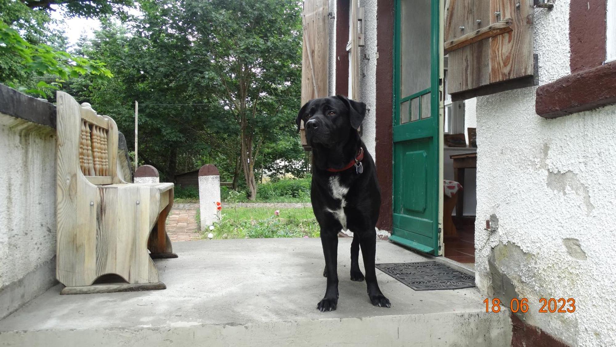 Dom Na Mazurach Pilec Bed & Breakfast Bagian luar foto