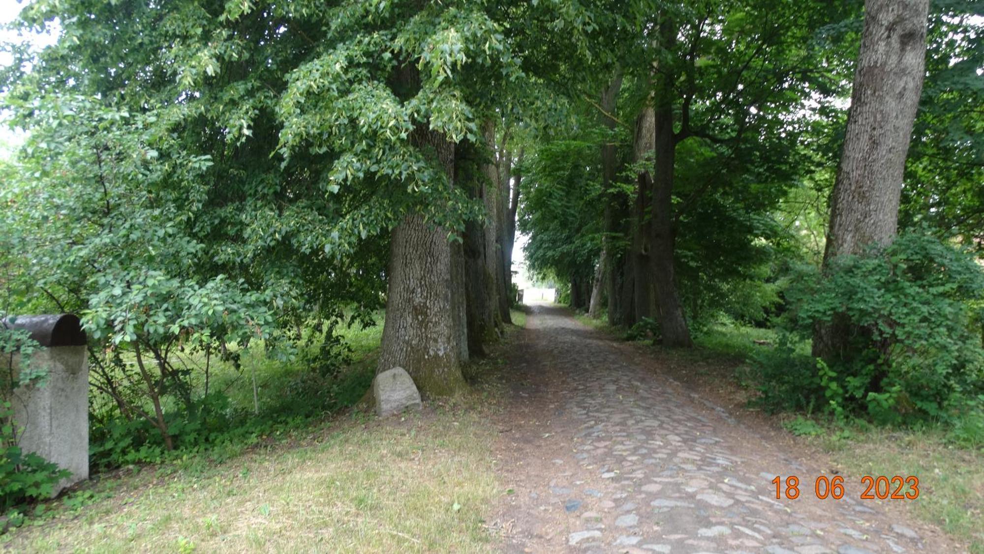 Dom Na Mazurach Pilec Bed & Breakfast Bagian luar foto
