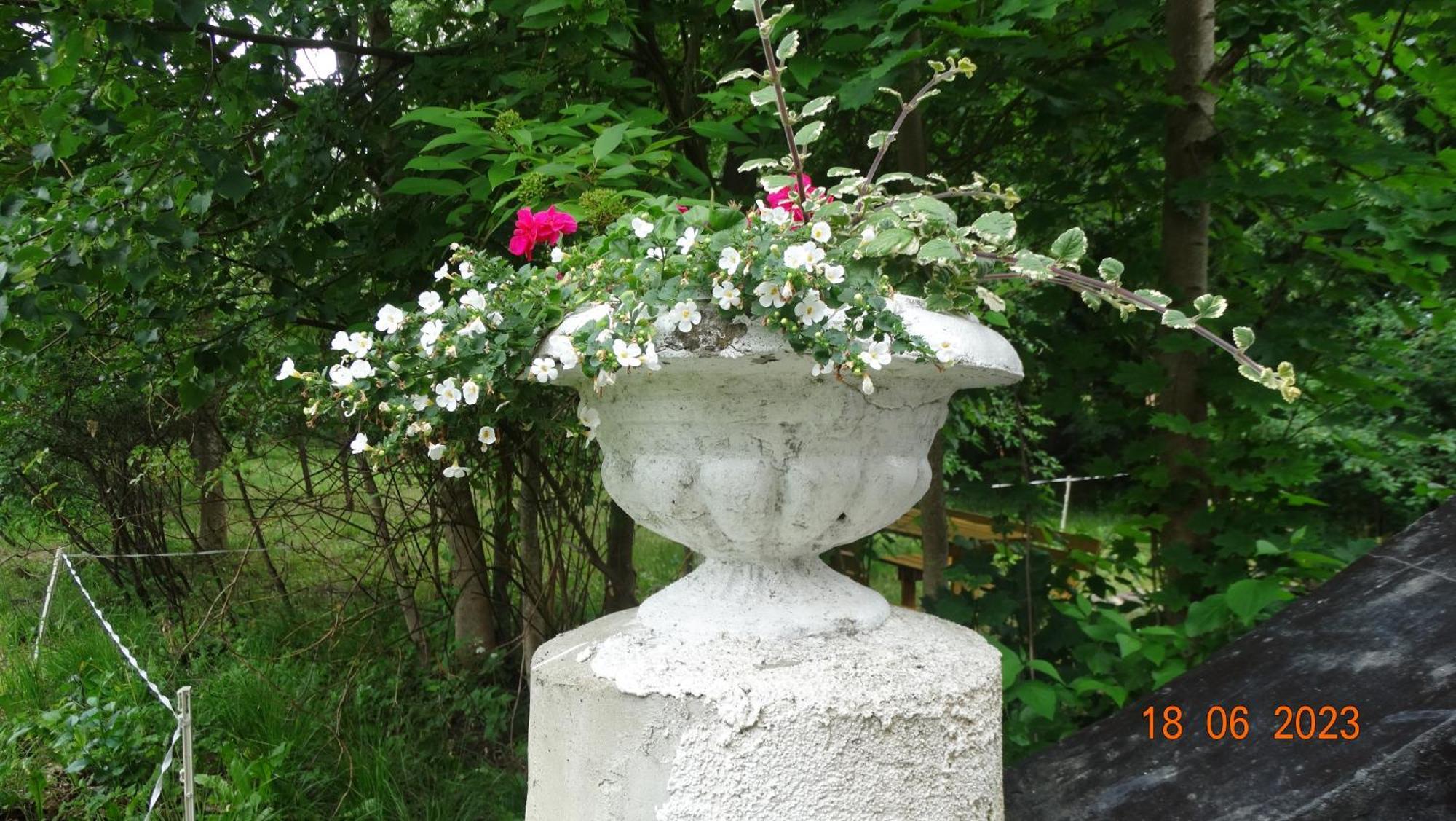 Dom Na Mazurach Pilec Bed & Breakfast Bagian luar foto