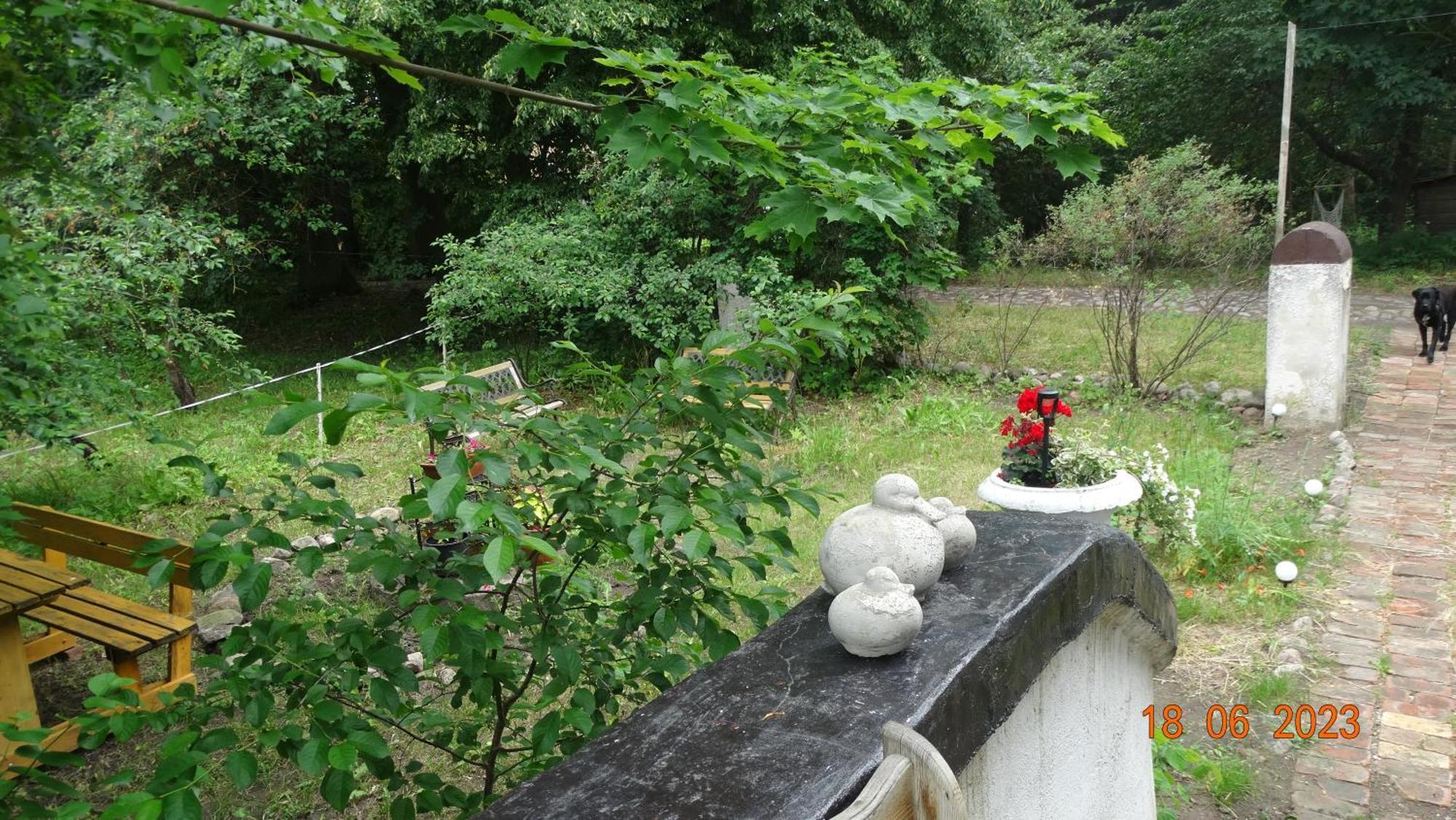 Dom Na Mazurach Pilec Bed & Breakfast Bagian luar foto