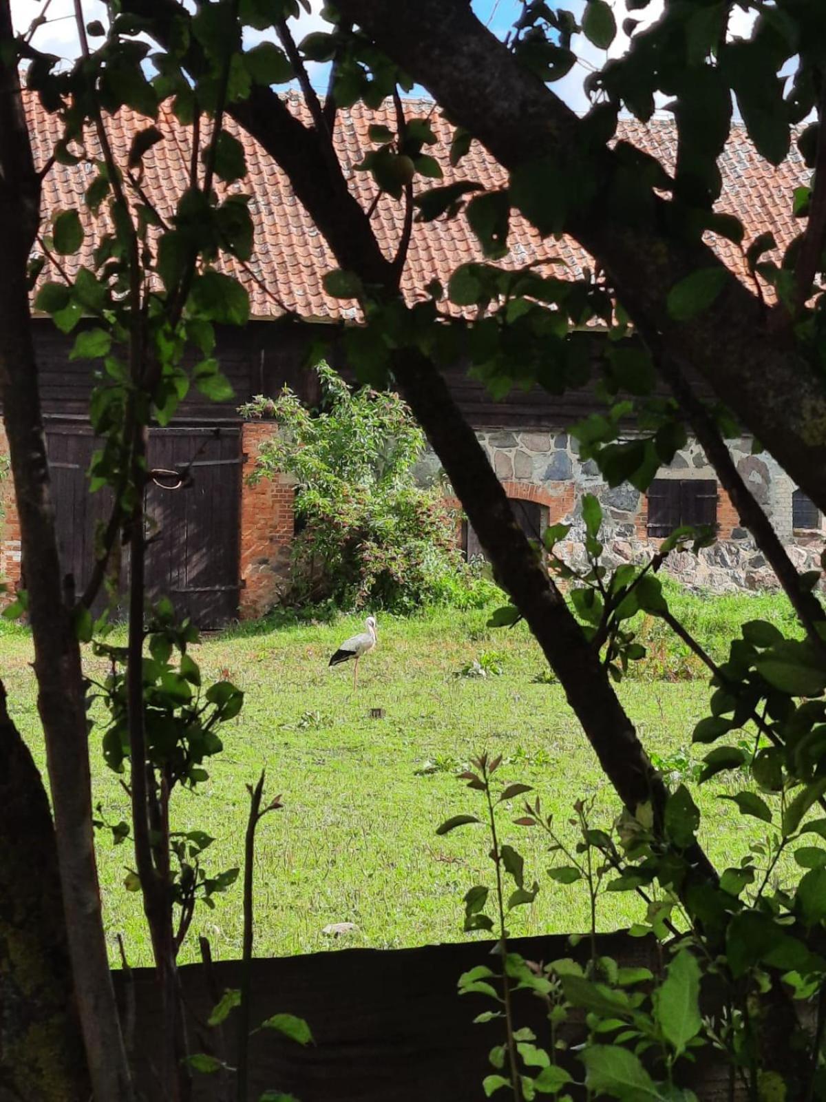 Dom Na Mazurach Pilec Bed & Breakfast Bagian luar foto